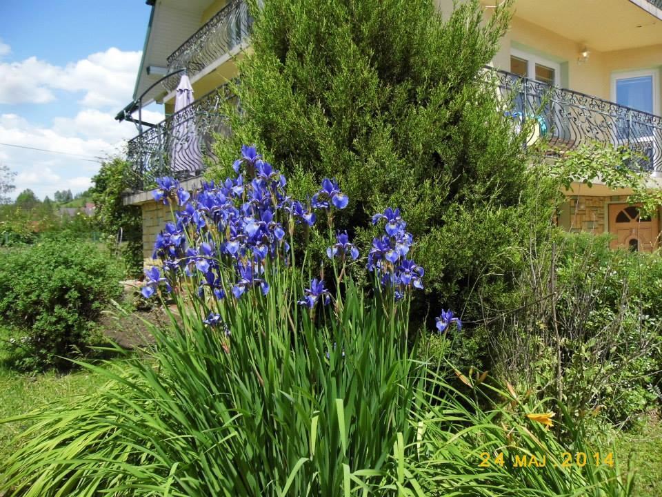 Przystanek Pod Skalkami Apartment Леско Екстериор снимка